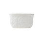 Pot Low Cement 20cm - Oct 26