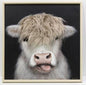 Framed Art Cow Print with texture Hair - Oct 26