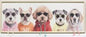 Framed Print of 5 Dogs - Oct 26