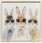 Framed Print of 3 Bunnies - Oct 26